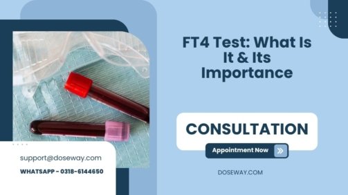FT4-Test-What-Is-It-&-Its-Importance