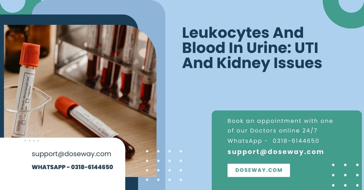 Leukocytes And Blood In Urine: UTI And Kidney Issues 1 Free-Leukocytes-And-Blood-In-Urine-UTI-And-Kidney-Issues
