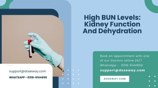 High-BUN-Levels-Kidney-Function-And-Dehydration