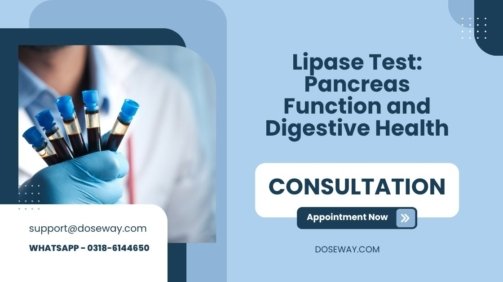 Lipase-Test-Pancreas-Function-and-Digestive-Health