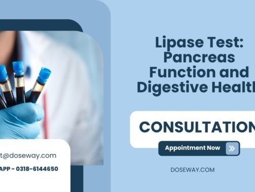 Lipase-Test-Pancreas-Function-and-Digestive-Health