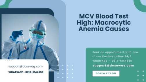 MCV-Blood-Test-High-Macrocytic-Anemia-Causes