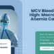 MCV-Blood-Test-High-Macrocytic-Anemia-Causes