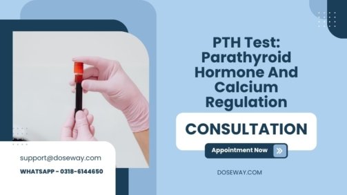 PTH-Test-Parathyroid-Hormone-And-Calcium-Regulation