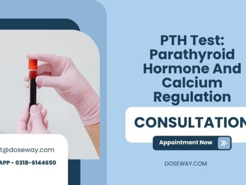 PTH-Test-Parathyroid-Hormone-And-Calcium-Regulation