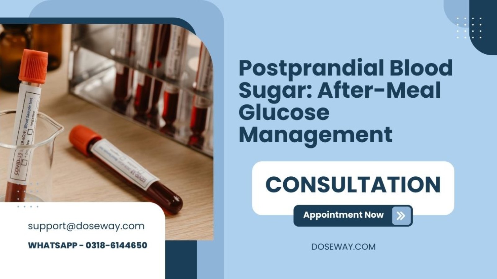 Postprandil-Blood-Sugar-After-Meal-Glucose-Management