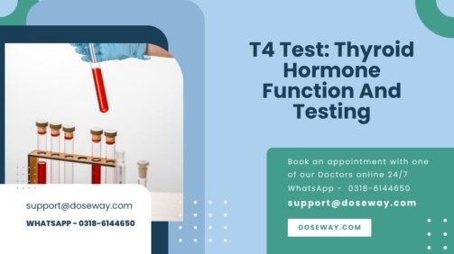 T4-Test-Thyroid-Hormone-Function-And-Testing