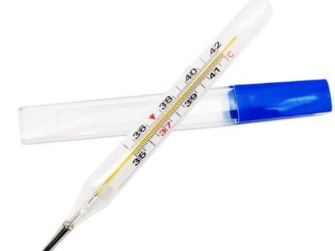 Home 8 Thermometer-Mercury-Free-1S