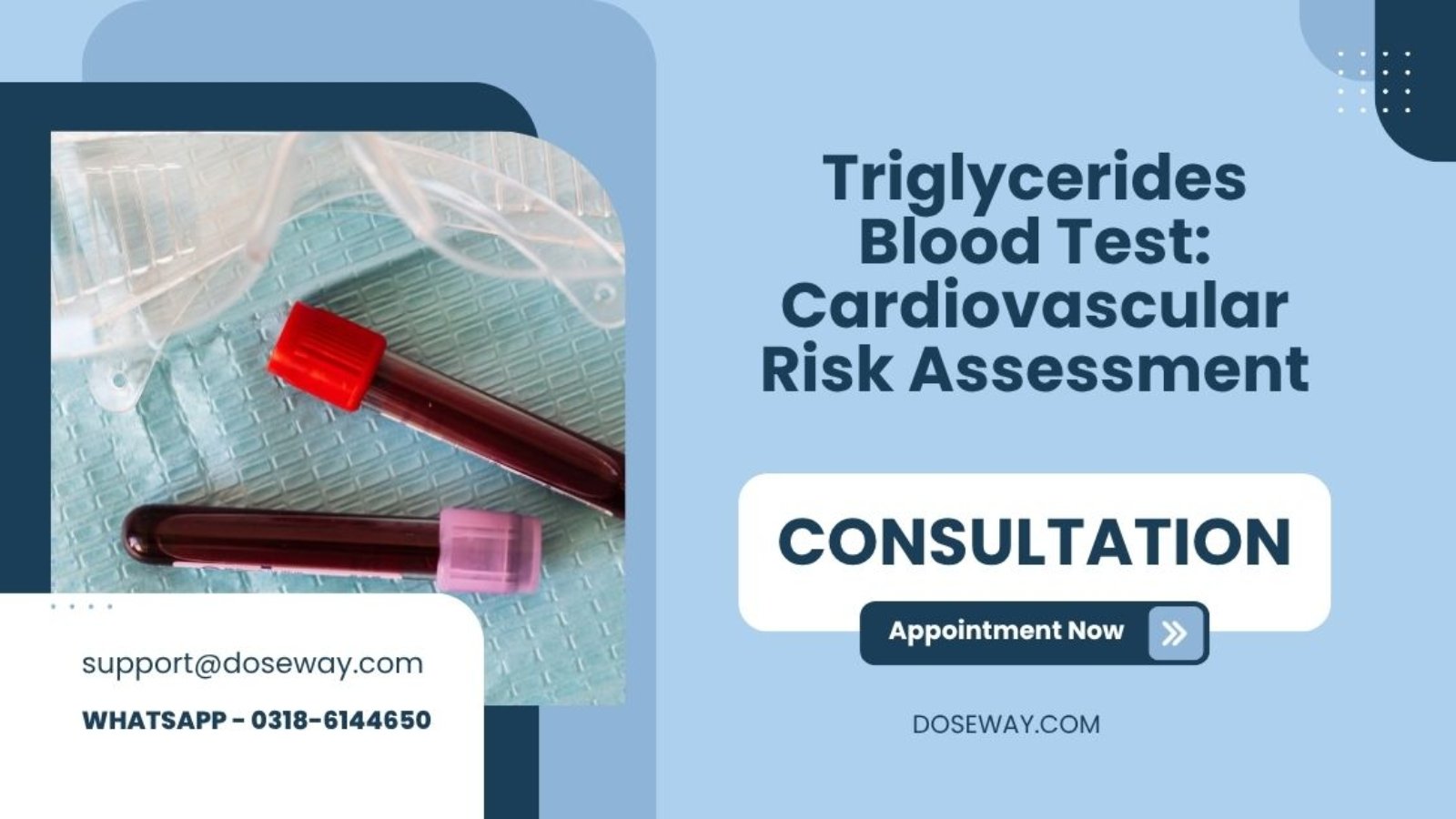 Triglycerides-Blood-Test-Cardiovascular-Risk-Assessment