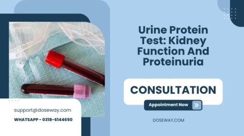 Urine-Protein-Test-Kidney-Function-And-Proteinuria