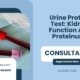 Urine-Protein-Test-Kidney-Function-And-Proteinuria