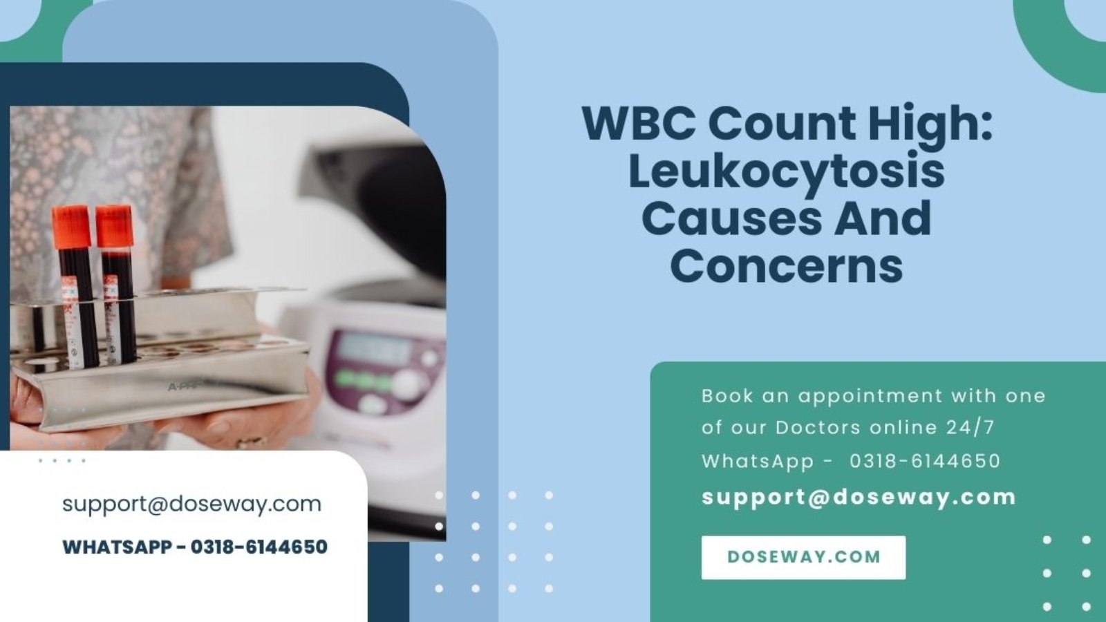 WBC Count High Leukocytosis Causes And Concerns