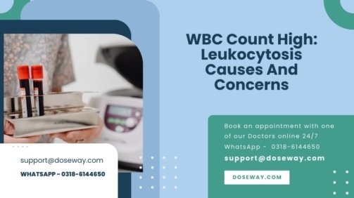WBC Count High Leukocytosis Causes And Concerns