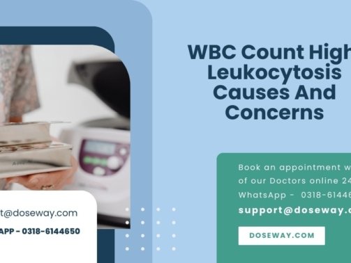 WBC Count High Leukocytosis Causes And Concerns