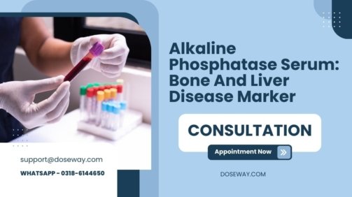 Alkaline-Phosphatase-Serum-Bone-And-Liver-Disease-Marker