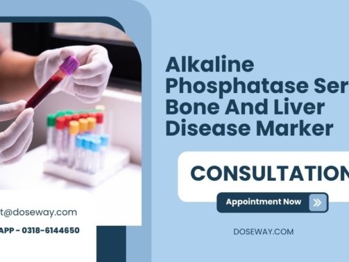 Alkaline-Phosphatase-Serum-Bone-And-Liver-Disease-Marker