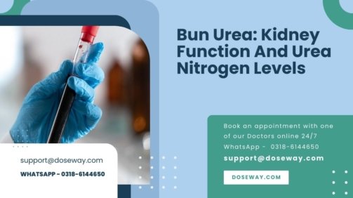 Bun-Urea-Kidney-Function-And-Urea-Nitrogen-Levels