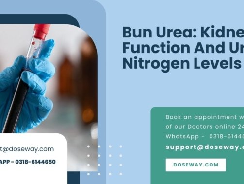 Bun-Urea-Kidney-Function-And-Urea-Nitrogen-Levels