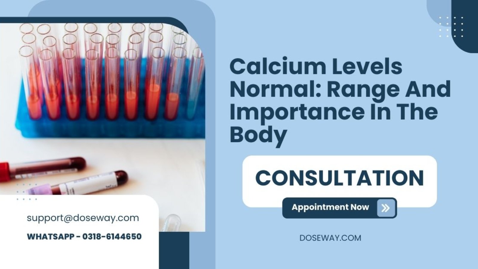 Calcium-Levels-Normal-Range-And-Importance-In-The-Body
