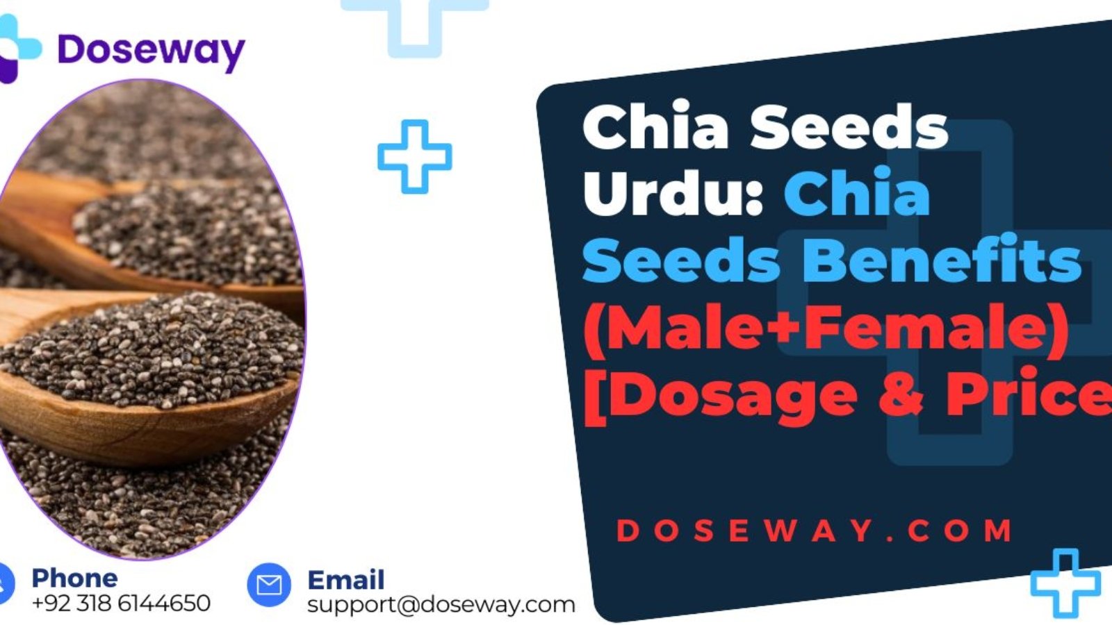 Chia-Seeds-Urdu-Chia-Seeds-Benefits