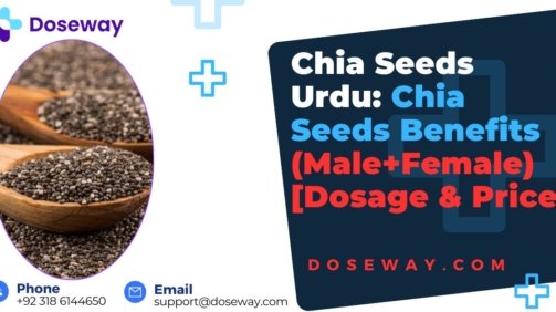 Chia-Seeds-Urdu-Chia-Seeds-Benefits