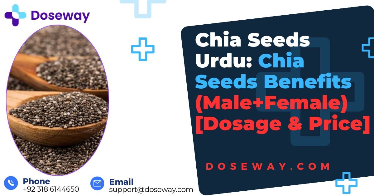 Chia-Seeds-Urdu-Chia-Seeds-Benefits