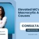 Elevated-MCV-Macrocytic-Anemia-Causes