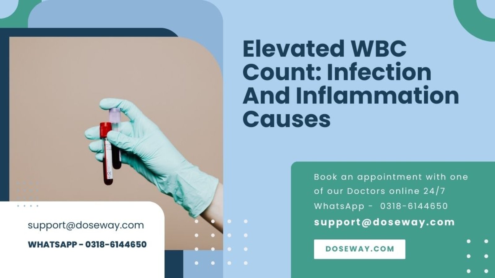 Elevated-WBC-Count-Infection-And-Inflammation-Causes