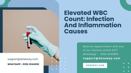 Elevated-WBC-Count-Infection-And-Inflammation-Causes