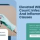 Elevated-WBC-Count-Infection-And-Inflammation-Causes