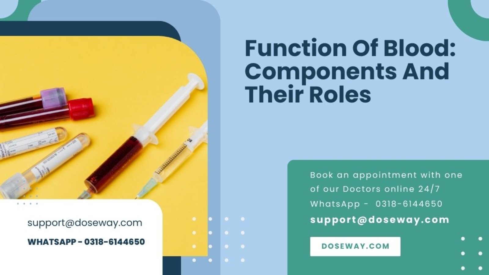 Function-Of-Blood-Components-And-Their-Roles