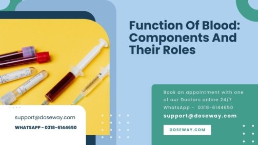 Function-Of-Blood-Components-And-Their-Roles