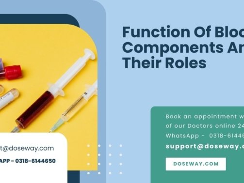 Function-Of-Blood-Components-And-Their-Roles