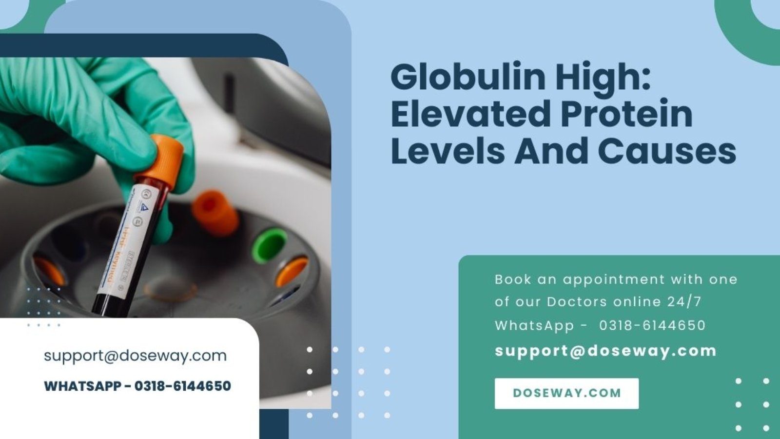 Globulin-High-Elevated-Protein-Levels-And-Causes