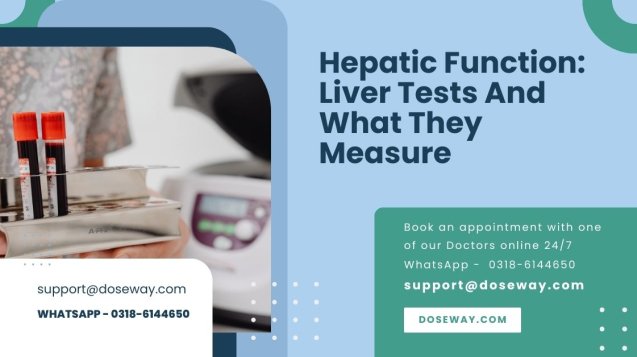 Hepatic-Function-Liver-Tests-And-What-They-Measure