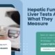 Hepatic-Function-Liver-Tests-And-What-They-Measure