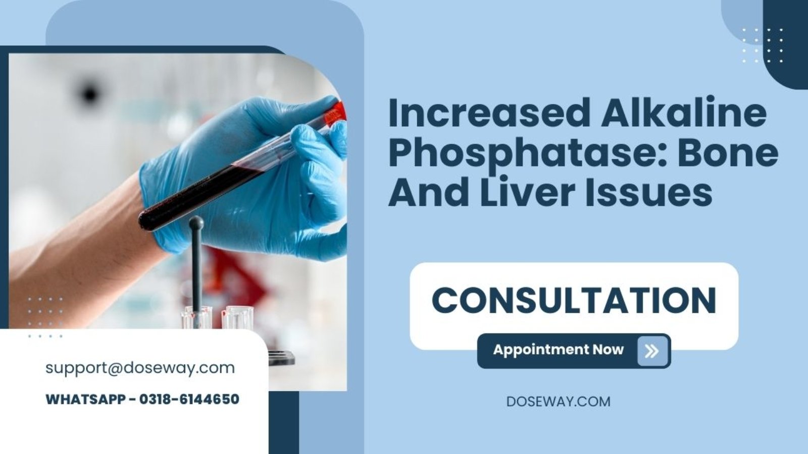 Increased-Alkaline-Phosphatase-Bone-And-Liver-Issues