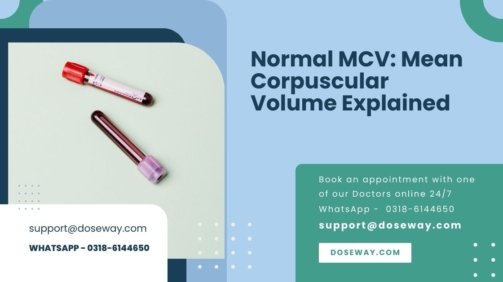 Normal-MCV-Mean-Corpuscular-Volume-Explained