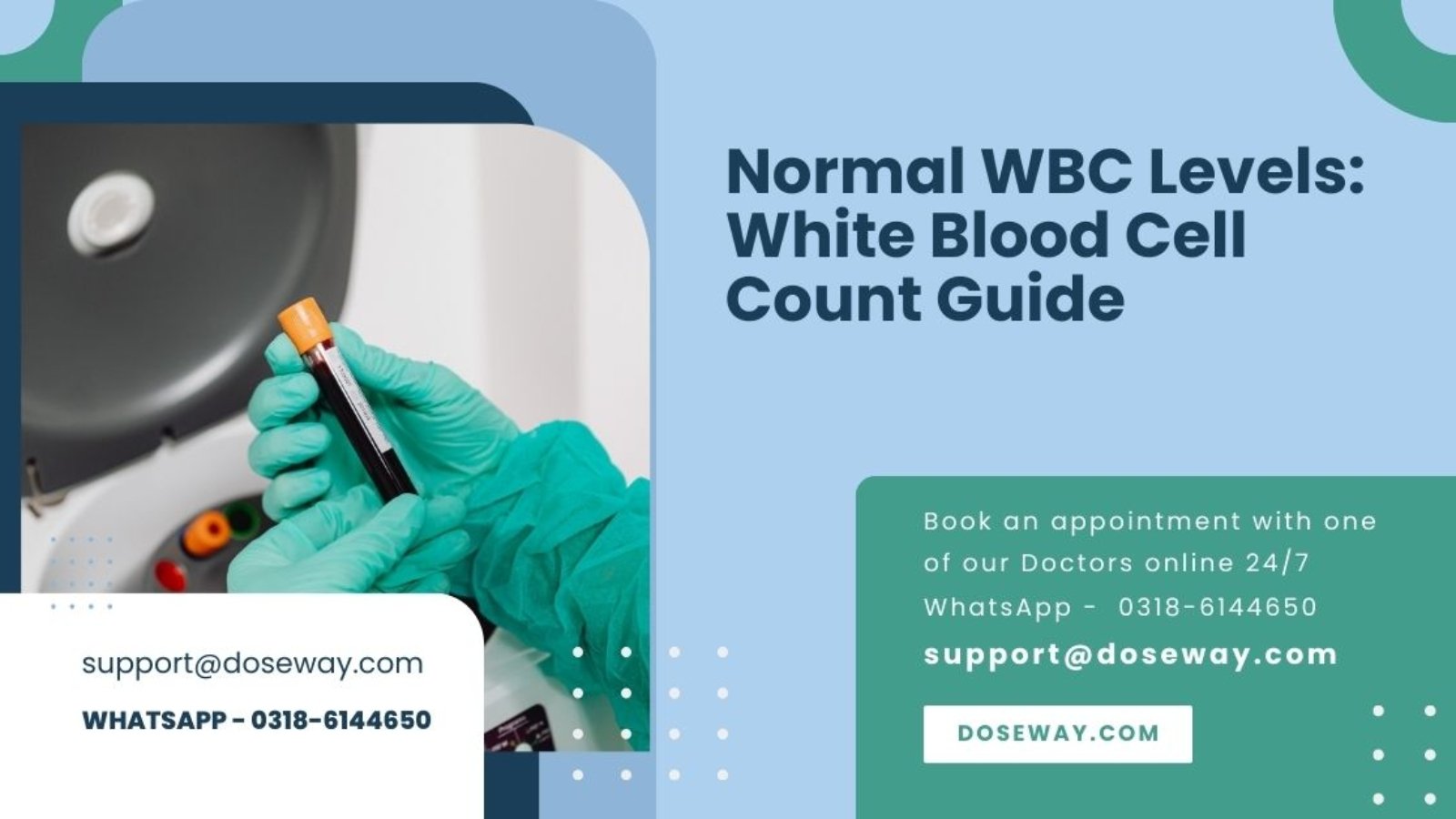 Normal-WBC-Levels-White-Blood-Cell-Count-Guide