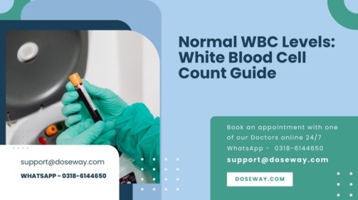 Normal-WBC-Levels-White-Blood-Cell-Count-Guide