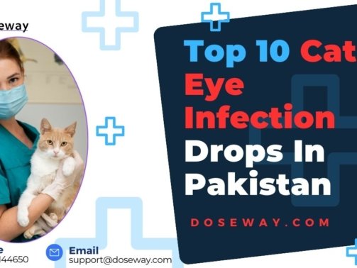 Top-10-Cat-Eye-Infection-Drops-In-Pakistan