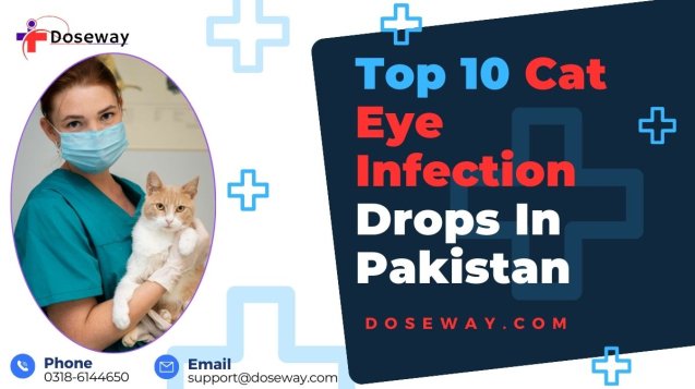 Home 36 Top-10-Cat-Eye-Infection-Drops-In-Pakistan